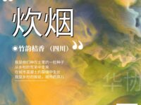 竹韵桔香 | 炊烟