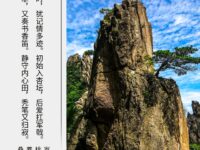 美轮｜生查子•人生悟（外三阕）