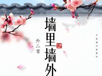 胡萍｜墙里•墙外（外二首）