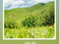 华协上海分会｜四月的诗（同主题诗）