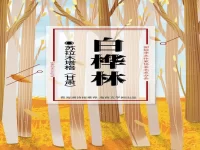 苏拉木塔格|白桦林