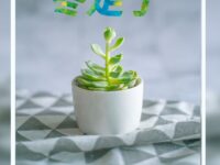 姜孝春｜冬走了 (外一首)