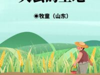 牧童｜失去的土地 ​ ​