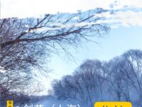 剑花｜写东北，就不只写东北