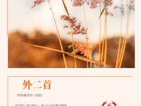 张娟｜与岁月和解（外二首）