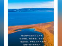 瀚飞墨嫣｜谁坐红尘，独为见卿颜