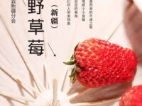 寒冰｜巷角野草莓