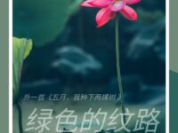 胡萍|绿色的纹路(外一首)