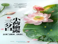 瀚飞墨嫣｜小荷偷露三分白