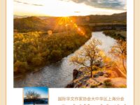 剑花｜闪光的角色