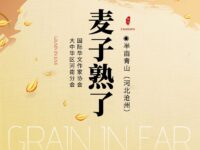 半亩青山｜麦子熟了