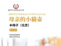 梅子｜母亲的小猫壶（散文）