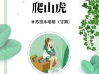 苏拉木塔格｜爬山虎
