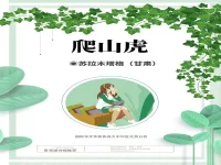 苏拉木塔格|爬山虎