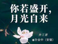 孙会中｜你若盛开，月光自来（外三首）