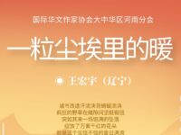 王宏宇｜一粒尘埃里的暖