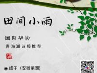 峰子｜田间小雨