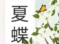 风无语｜夏蝶（外一首）