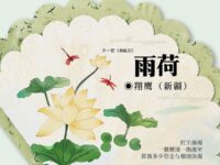 翔鹰｜雨荷（外一首）