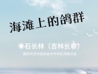 石长林｜海滩上的鸽群（外一首）