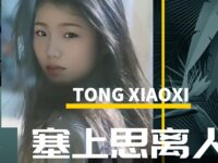 童小汐|春雪间早梅•塞上思离人