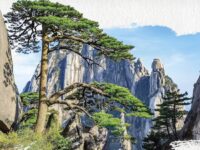 峰子｜黄山，一场触手可及的梦