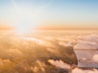 牧童|逃离城市(外一首)