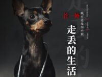 峰子｜走丢的生活（外一首）