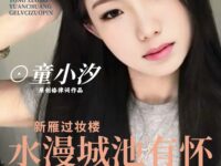 童小汐|新雁过妆楼•水漫城池有怀