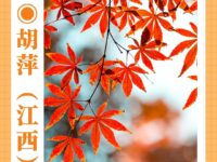 胡萍|嘿,你好吗