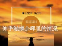 王宏宇｜伸手触摸余晖里的情深