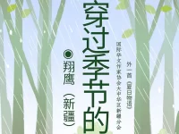 翔鹰丨穿过季节的雨（外一首）