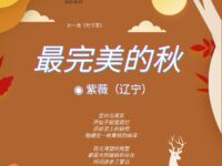 紫薇丨最完美的秋