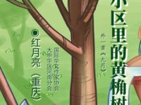 红月亮丨小区里的黄桷树（外一首）