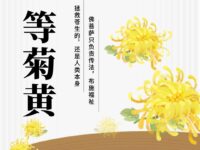 刘冰鉴丨等菊黄