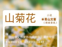 青山文客丨山菊花（小说）