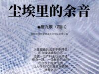 唐九歌丨尘埃里的余音