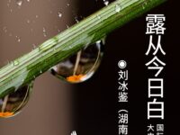 刘冰鉴丨露从今日白