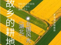 北国风光丨故乡的耕地