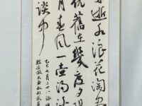 童小汐丨冷湖镇之行（散文）