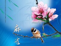 空谷小鸟丨麻雀