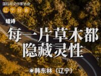 韩东林丨每一片草木都隐藏灵性（组诗）