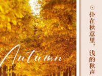 风清丨扑在秋意里，浅酌秋声