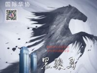 刘冰鉴丨黑骏马