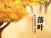 苏拉木塔格丨落叶