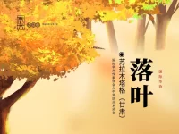 苏拉木塔格丨落叶