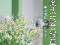 葛建民丨案头的金钱草