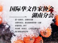 刘冰鉴丨今日霜降