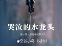 空谷小鸟丨哭泣的水龙头（外一首）