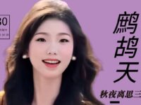 童小汐丨鹧鸪天•秋夜离思三阕